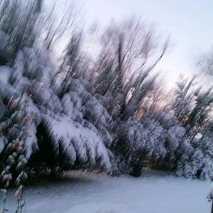 Meet your Posher, Evelyn